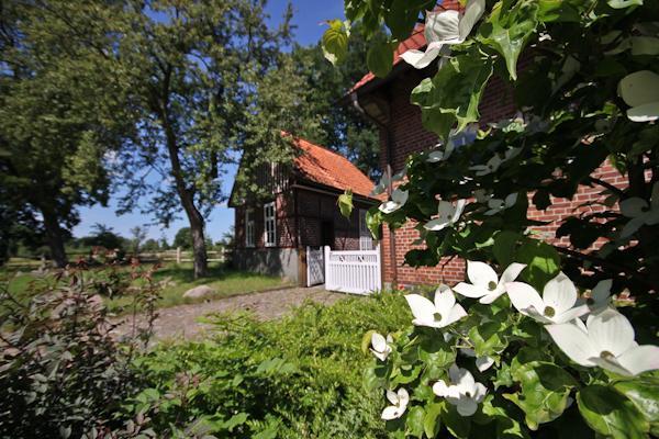 Landgasthof Zur Heideschenke 호텔 Wolthausen 외부 사진